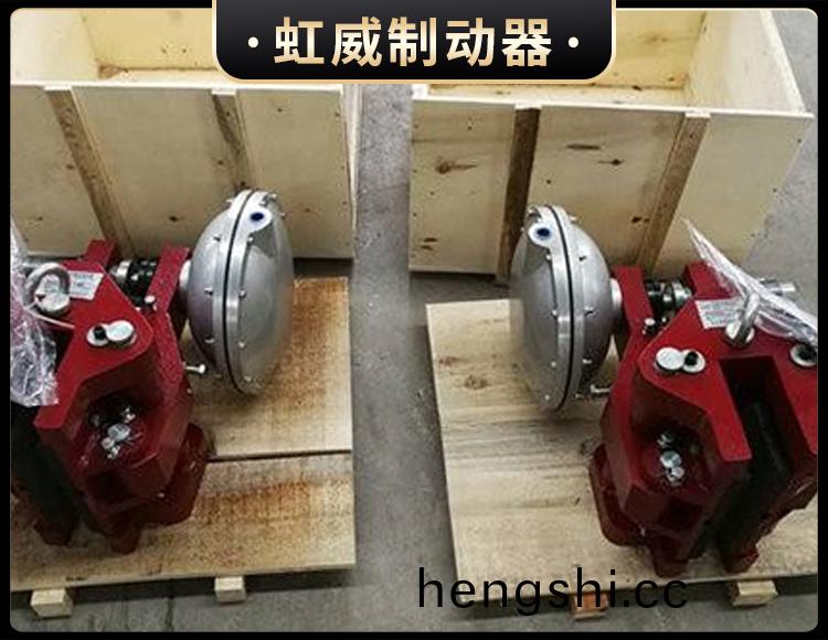 CQP20B-A氣(qi)動(dong)鉗(qian)盤(pan)式製(zhi)動器